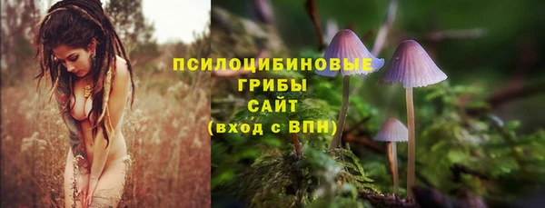 альфа пвп Медвежьегорск