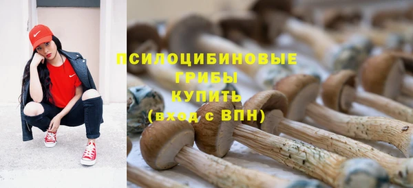 альфа пвп Медвежьегорск