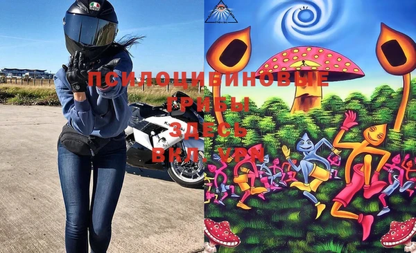 бошки Медногорск