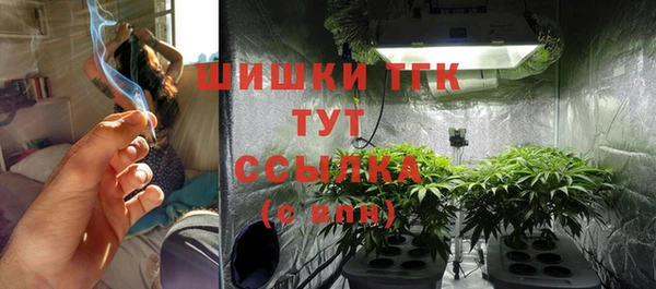 прущие крисы Мегион