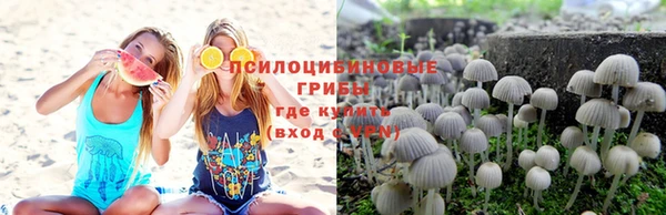 COCAINE Майский