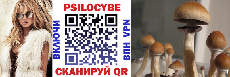 Псилоцибиновые грибы Psilocybe  купить закладку  Симферополь 
