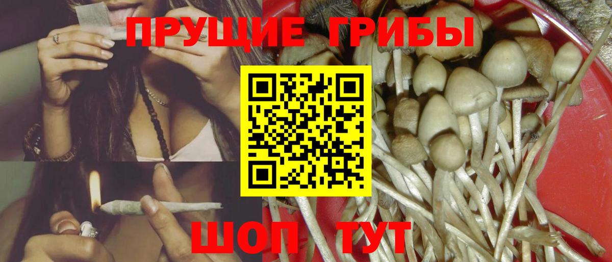 Псилоцибиновые грибы GOLDEN TEACHER Симферополь
